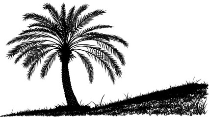 Silhouette of a Palm Tree on a Hillside.