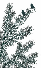Silhouette of Birds Perched on Pine Tree Branches.