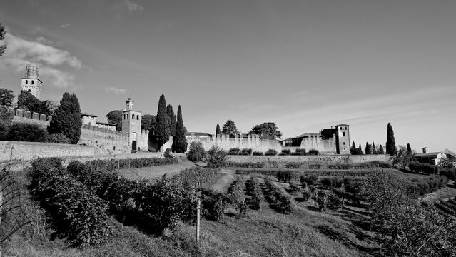 Castello di San Salvatore,immerso nei vitigni del pregiato spumante Prosecco. Collalto, Treviso. Veneto, Italia