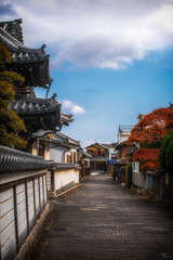 Naklejka premium The Historical Path of the Usuki Nioza in Oita Prefecture, Kyushu, Japan