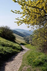 Serene spring trail through rolling hills under blossoming tree