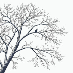 Fototapeta premium Winter Tree Silhouette with Bird Perched on Branch.