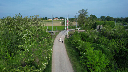 A solitary woman strolls with her dog along a dirt road bordered by lush green vegetation and blooming trees, approaching a railway crossing in the Italian countryside