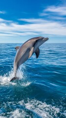 Naklejka premium dolphin. Dolphin leaping from ocean water, splash in mid-air, natural sunlight. wildlife magazines, conservation campaigns, designed for nature documentaries and education. 
