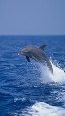 Obraz premium dolphin. Dolphin leaping from ocean water, splash in mid-air, natural sunlight. wildlife magazines, conservation campaigns, designed for nature documentaries and education. 
