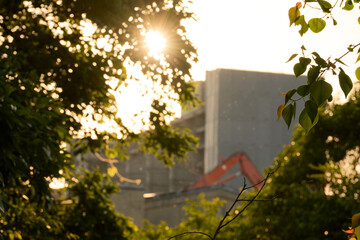 都市の変遷を叙情的に表現した夕日の光芒が輝く解体現場の風景。手前の木の葉にピント。