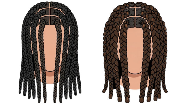 Illustration of two mannequin heads with braided hairstyles showcasing different braiding patterns and hair colors from a rear view