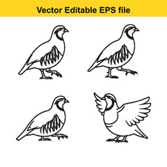 Naklejka premium Quail birds editable vector illustrations set