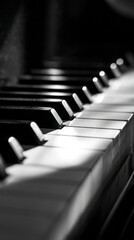 piano. Close-up of black and white piano keys with a narrow beam of light creating shadows. event programs, museum guides, designed for cultural heritage projects and event programs.
