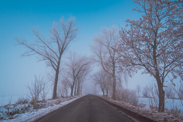 Obraz premium empty local road in winter in light fog