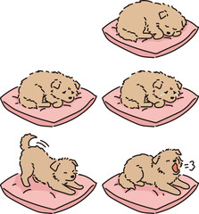 애견 반려견 강아지 일러스트 