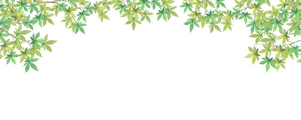 Elegant watercolor green maple branch corner header for Japanese summer-300dpi-  © URU