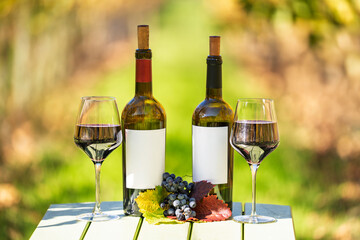 Wine Tasting Outdoors, Wine bottles without Label and glasses staged on a table in a vineyard in Napa Valley AVA, Napa County, California, USA, during autumn.