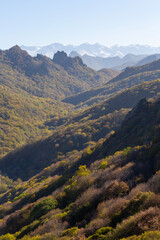 A view of a mountain gorge with forested slopes