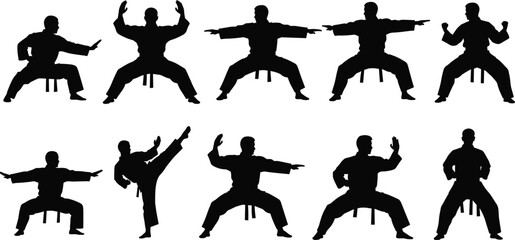 Martial arts silhouettes set featuring karate fighter in various action poses, kata movements, high kick, combat stances, and defensive training positions for sport design © It's Majed Here