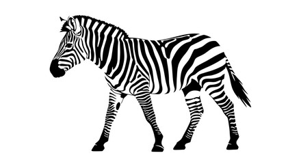 Fototapeta premium Black and white illustration of a zebra standing profile.