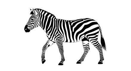 Black and white illustration of a zebra walking.