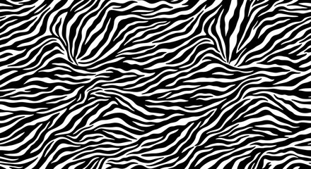 Fototapeta premium Black and white zebra pattern texture background.