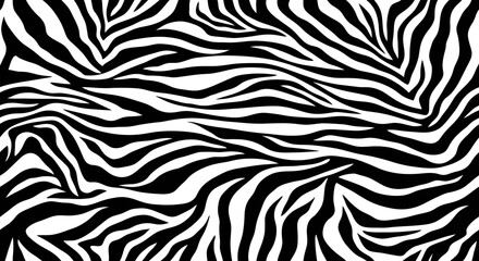 Fototapeta premium Black and white zebra pattern texture background.