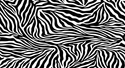 Fototapeta premium Black and white zebra pattern texture background.