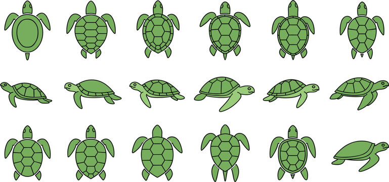 Sea Turtle Icon Set in Multiple Views and Poses for Wildlife, Marine Life, Nature Education, and Ocean Conservation Vector Designs