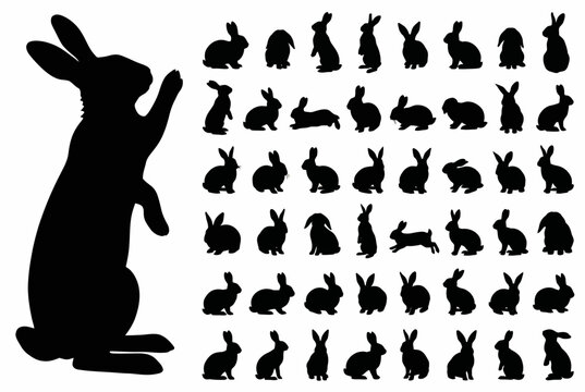 Set of Black Silhouette Rabbits and Bunnies Collection Vector Illustration, Cute Bunny Poses Rabbit Silhouettes, Standing Sitting Jumping Praying Ears Up Icons Pack