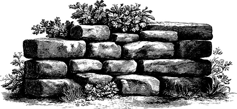 Vintage botanical engraving of ashlar masonry pattern with 19th century flora - design for print or poster