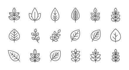 Fototapeta premium vector set of wheat ears