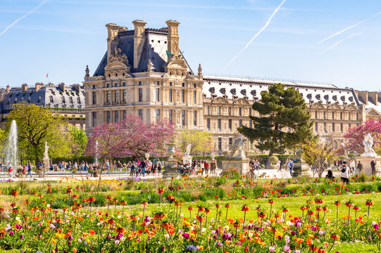 Tuileries gardens in spring, Paris, France