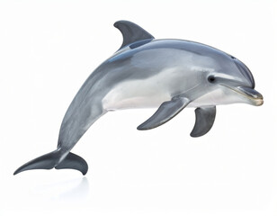 Obraz premium Dolphin, Playful Marine Mammal over White Background
