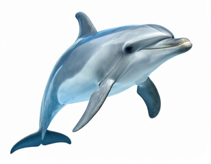 Fototapeta premium Dolphin, Playful Marine Mammal over White Background