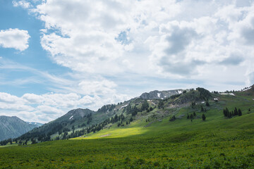 Fototapeta premium Green grassy meadow against stone hill with coniferous trees and high rock mountain range under lush clouds in blue sky. Big sharp rocky ridge with sheer crags. Sunlight and shadows in cloudy weather.