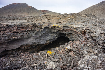 Lanzarote - Timanfaya (2026-01)