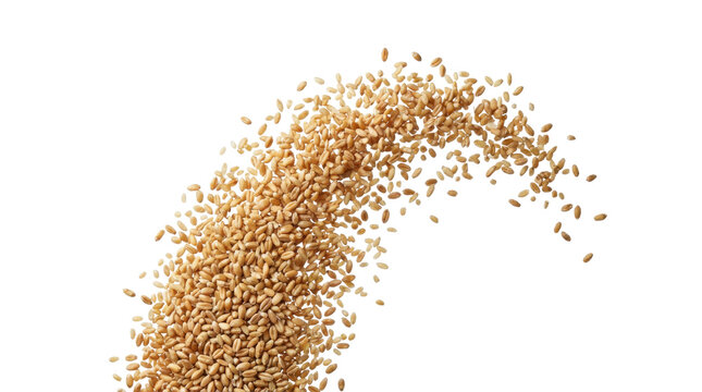 A cascade of small brown particles or sesame grains flowing downwards in a dynamic motion ready for compositing on white and transparent background