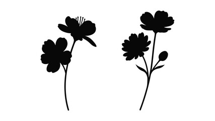 Minimalist floral arrangement featuring dark flower shapes a striking silhouette © MDJAMAL