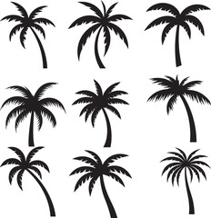 Fototapeta premium set of palm trees, palm, 