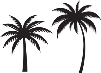 Obraz premium set of palm trees, palm, 