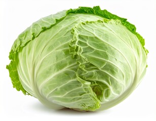Fototapeta premium Weißkohl isoliert