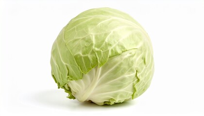 Fototapeta premium Weißkohl isoliert