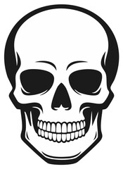 Obraz premium Black and white skull illustration