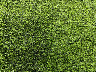 Fototapeta premium High-Quality Artificial Turf Surface for Sports Field