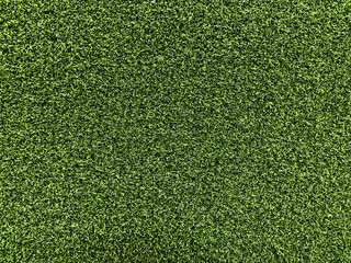 Fototapeta premium High-Quality Artificial Turf Surface for Sports Field