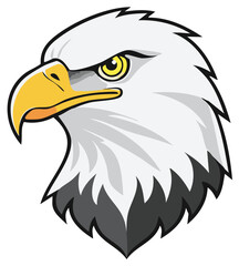 Bald eagle head close-up illustration with sharp gaze and detailed plumage for symbolic imagery