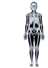 complete human female skeletal system, translucent and glowing in light electric blue, full-body vertical view against pure black void with copy space. concept of precise medical diagnostics