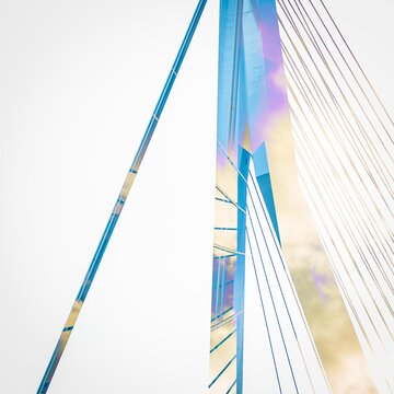 Erasmus bridge Rotterdam