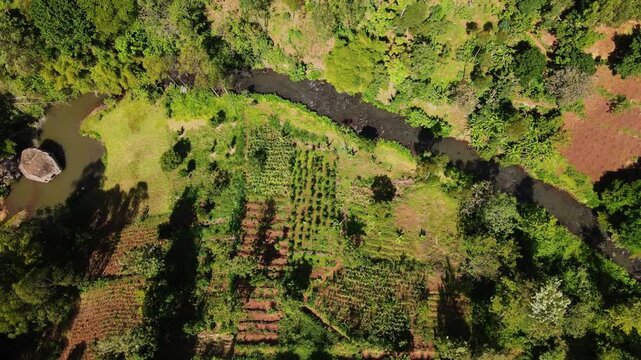 Aerial top down view of kenyan farmland