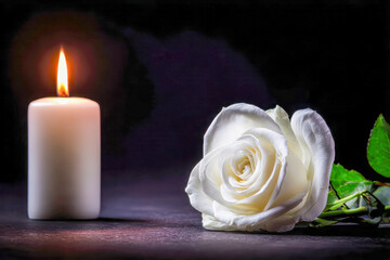 White rose and softly glowing candle on dark surface symbolizing tranquility, remembrance, and peaceful contemplation in a serene setting