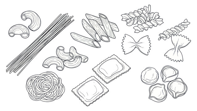 Collection of Various Italian Pasta Shapes Hand Drawn Sketch.