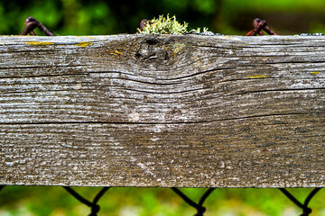 Old Wooden Plank closeup
