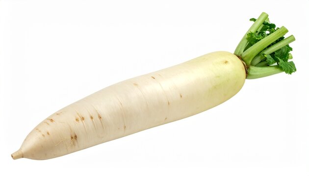 Rettich wei&szlig; isoliert